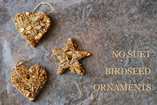 Image and tutorial from http://sas-does.blogspot.co.uk/2013/01/no-suet-birdseed-ornaments.html