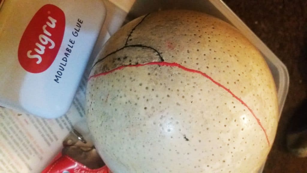 fixed ostrich egg